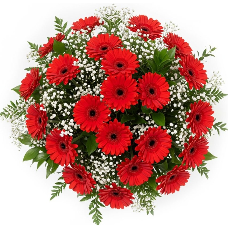 Charming Bouquet of Red Gerberas and Gypsophila