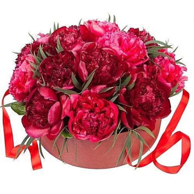 Luxury Red Peonies Box-Extra Small (10 stems) & Small (15 stems) & Medium (20 stems) & Regular (25 stems) & Large (30 stems) & Extra Large (35 stems) & Luxury (40 stems) & Glamour (50 stems) & Exclusive  Glamour (65 stems) & Premium (80 stems) & Premium E