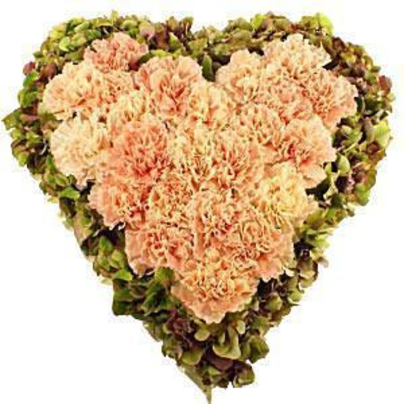 Pastel Carnation Heart-Small (25cm / 9″) & Regular (30cm / 12″) & Large (43cm / 17″) & Extra Large (54cm / 21″)