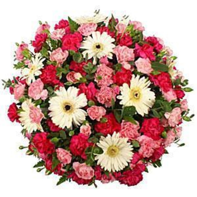 Pink Carnation & Gerbera Posy-Regular (30cm / 12″) & Large (43cm / 17″) & Extra Large (54cm / 21″)