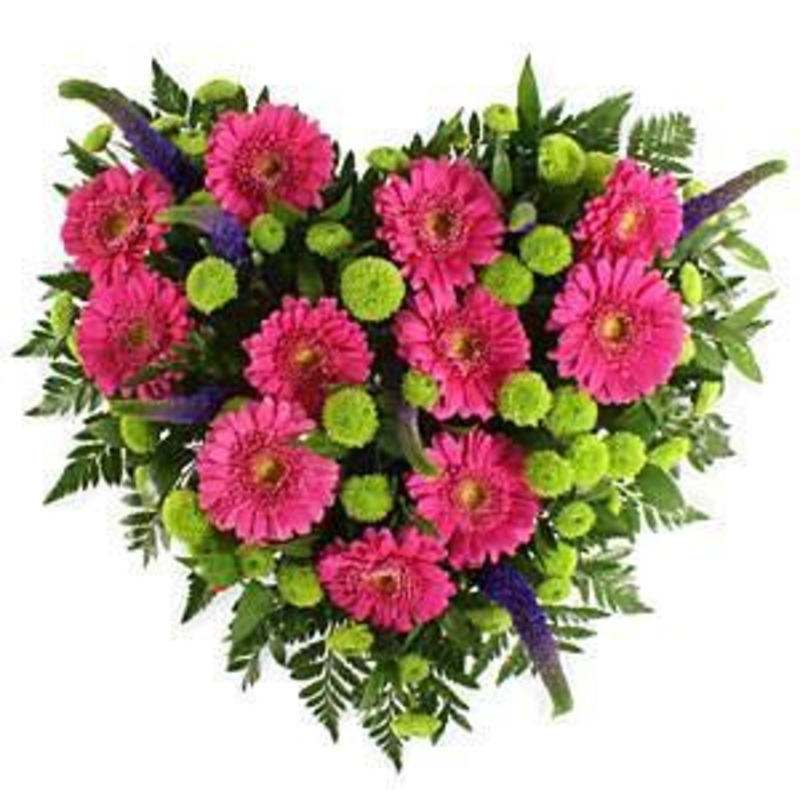 Pink Gerbera Heart-Regular (30cm / 12″) & Large (43cm / 17″) & Extra Large (54cm / 21″)