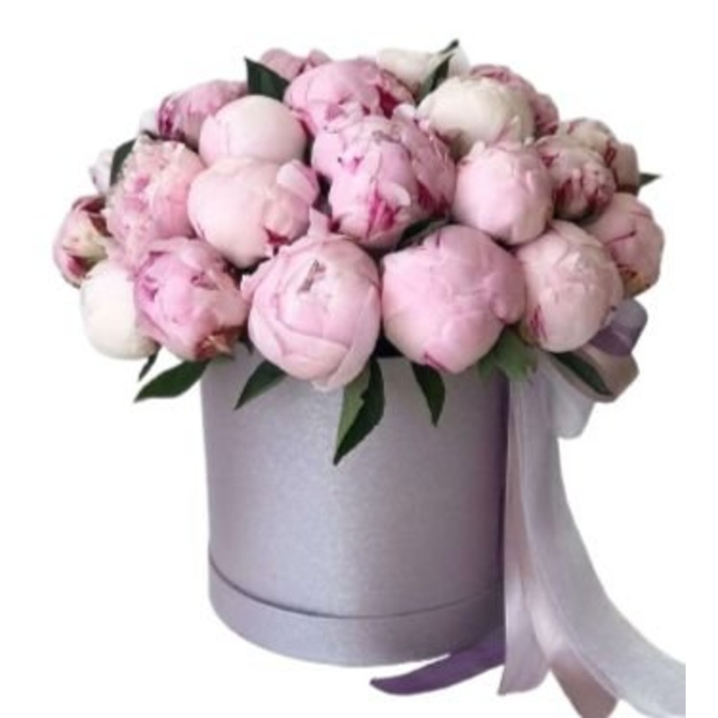 Pink Peonies Box-Small (10 stems) & Regular (15 stems) & Large (20 stems) & Extra Large (25 stems) & Luxury (30 stems) & Glamour (40 stems) & Exclusive Glamour (50 stems) & Premium (70 stems) & Premium Extra (85 stems) & Posh (100 stems)-Hat Box & Square