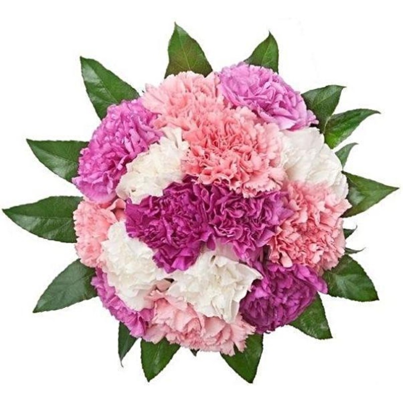 Pink Shades of Carnations Bouquet