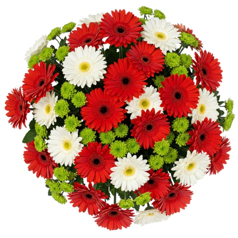 Red and White Gerber with Green Santini Chrysanthemum Bouquet