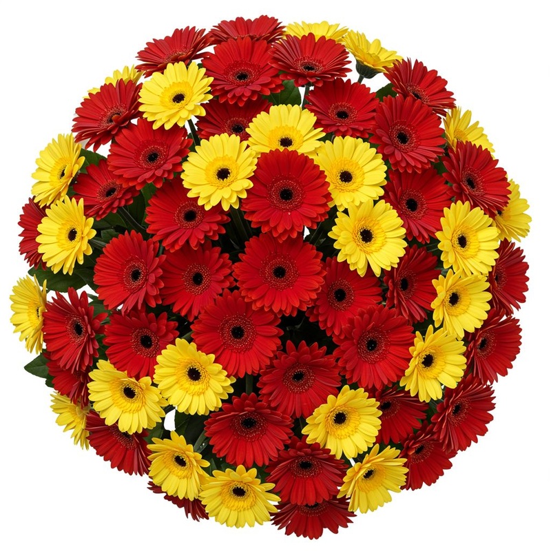 Red and Yellow Gerberas Bouquet