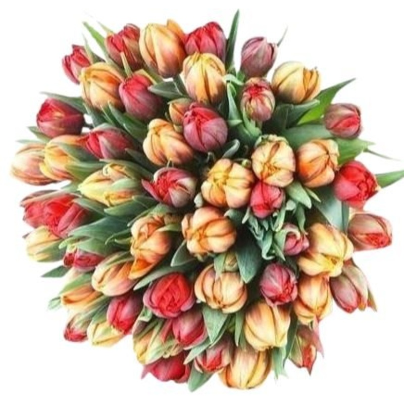 Red & Orange Double Tulips Bouquet