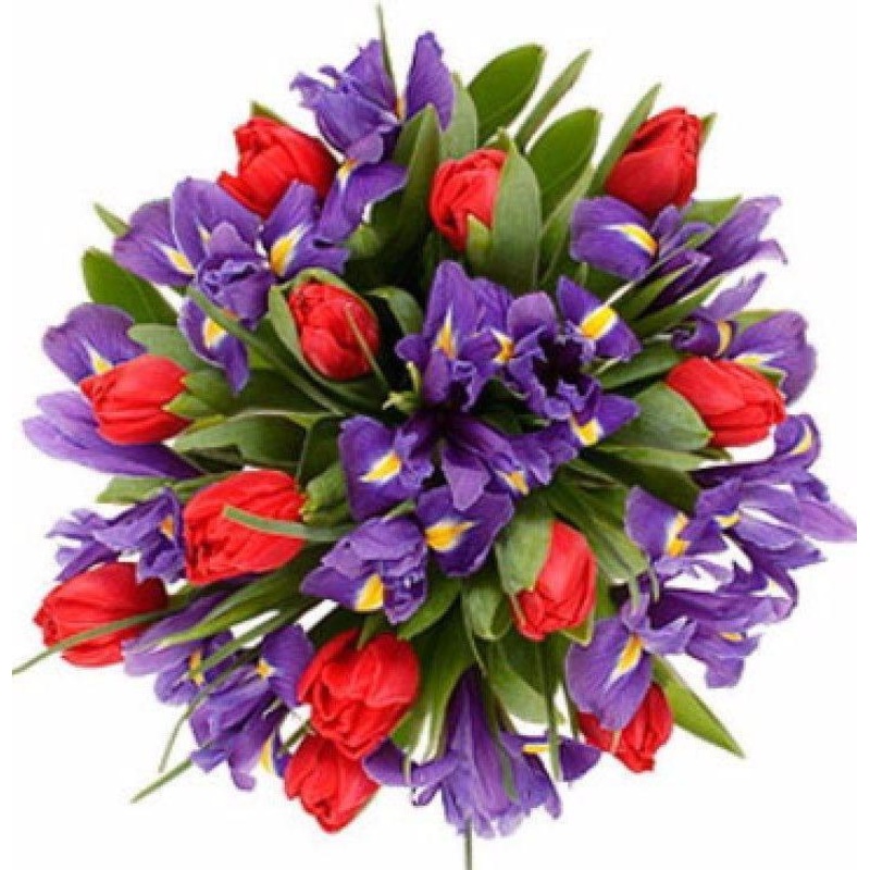 Red Tulips and Purple Iris Bouquet