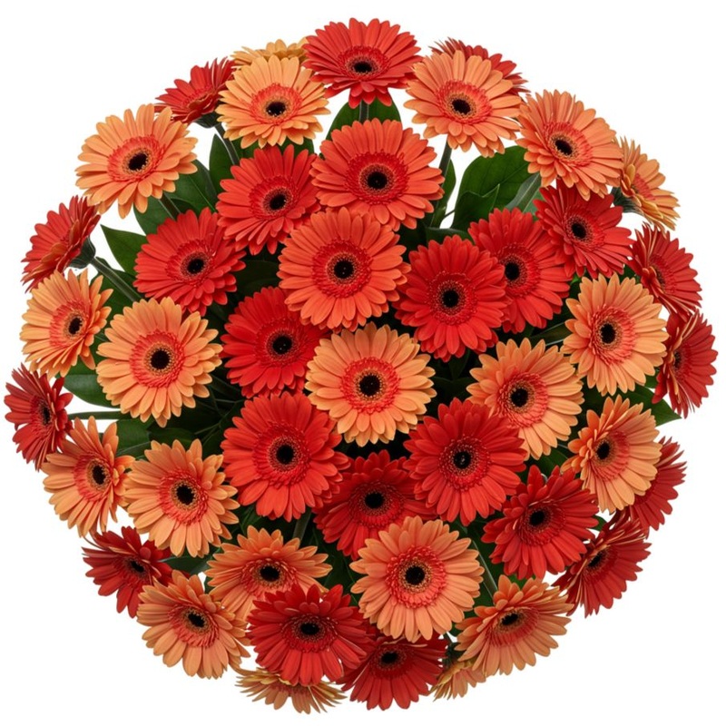 Shades of Orange Gerbera Bouquet