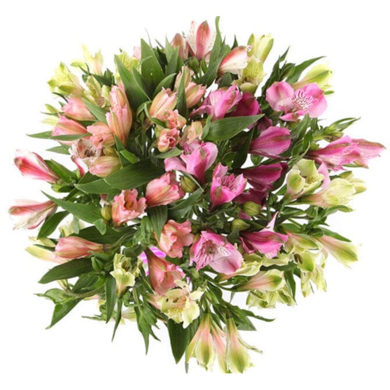 Shades of Pink Alstroemeria Bouquet