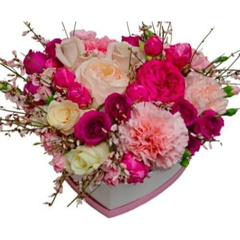 Raspberry Heart Box-Small (15 stems) & Regular (25 stems) & Medium (30 stems) & Large (40 stems) & Extra Large (50 stems) & Luxury (60 stems) & Exclusive (80 stems) & Glamour (100 stems)-Heart Box & Hat Box & Square Box-CREAM BOX & RED BOX & GRAY BOX