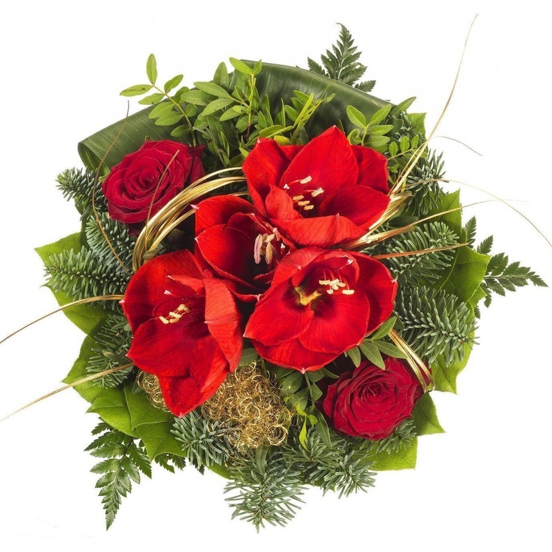 Red Amaryllis Festive Bouquet-Extra Small (5 stems) & Small (7 stems) & Regular (10 stems) & Large (15 stems) & Extra Large (20 stems) & Luxury (25 stems) & Glamour (30 stems) & Exclusive Glamour (35 stems) & Premium (40 stems) & Premium Extra (45 stems)