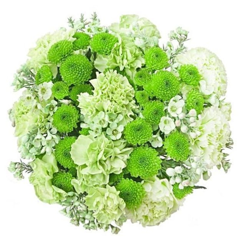 Simply Green Beauty Bouquet-Small (15 stems) & Regular (20 stems) & Large (30 stems) & Extra Large (40 stems) & Luxury (50 stems) & Glamour (65 stems) & Exclusive Glamour (80 stems) & Premium (100 stems) & Premium Extra (120 stems) & Posh (150 stems)