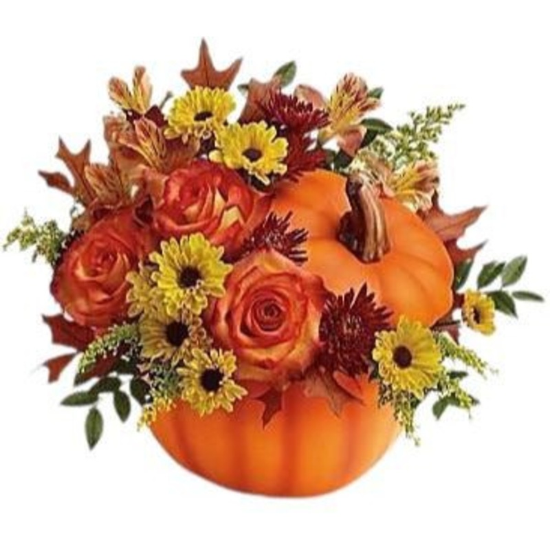 Trick & Treat Pumpkin Arrangement