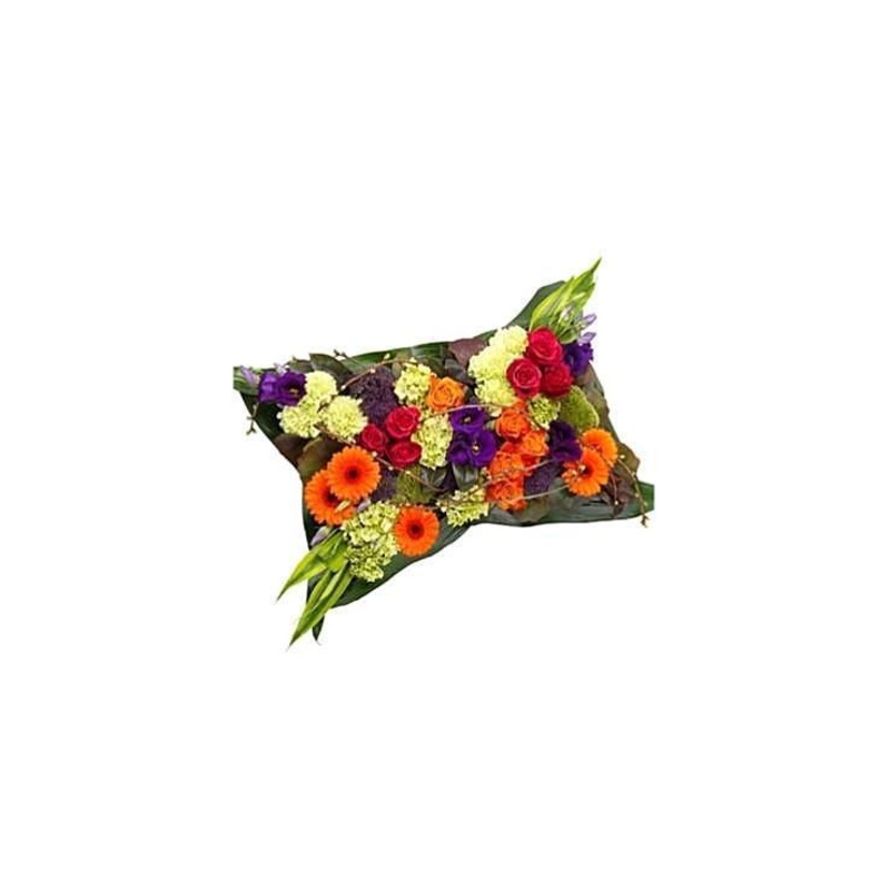Vibrant Pillow-Regular (12″ / 15″) & Large (12″ / 17″) & Extra Large (17″ / 21″)