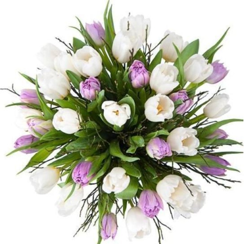 White & Double Lavender Tulips Bouquet with Greenery