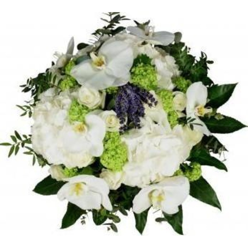 White Lace Bouquet-Small (10 stems) & Regular (15 stems) & Large (20 stems) & Extra Large (30 stems) & Luxury (40 stems) & Glamour (50 stems) & Exclusive Glamour (65 stems) & Premium (80 stems) & Posh (100 stems)