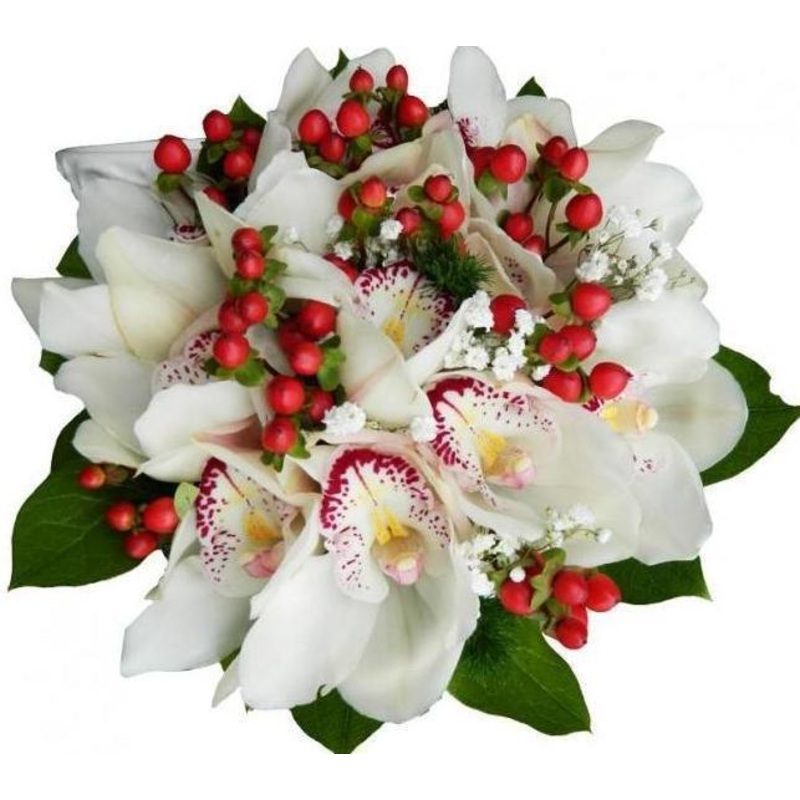 White Orchids in Red Bouquet-Small (15 stems) & Regular (20 stems) & Large (25 stems) & Luxury (30 stems) & Glamour (40 stems) & Exclusive Glamour (50 stems) & Premium Extra (60 stems) & Posh (80 stems)