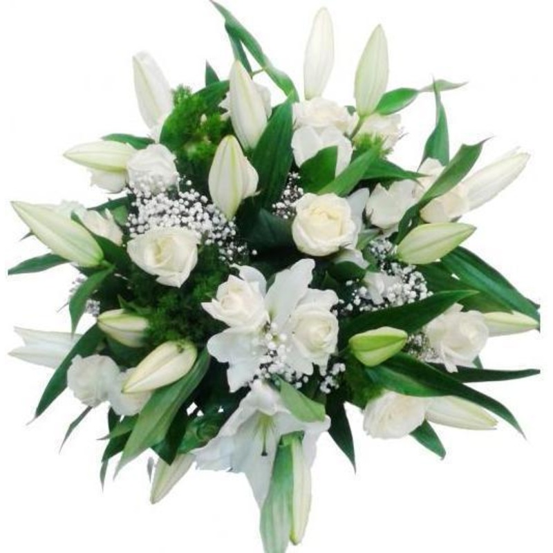 White Splendid-Small (10 Stems) & Regular (15 Stems) & Large (25 Stems) & Extra Large (35 Stems) & Luxury (45 Stems)