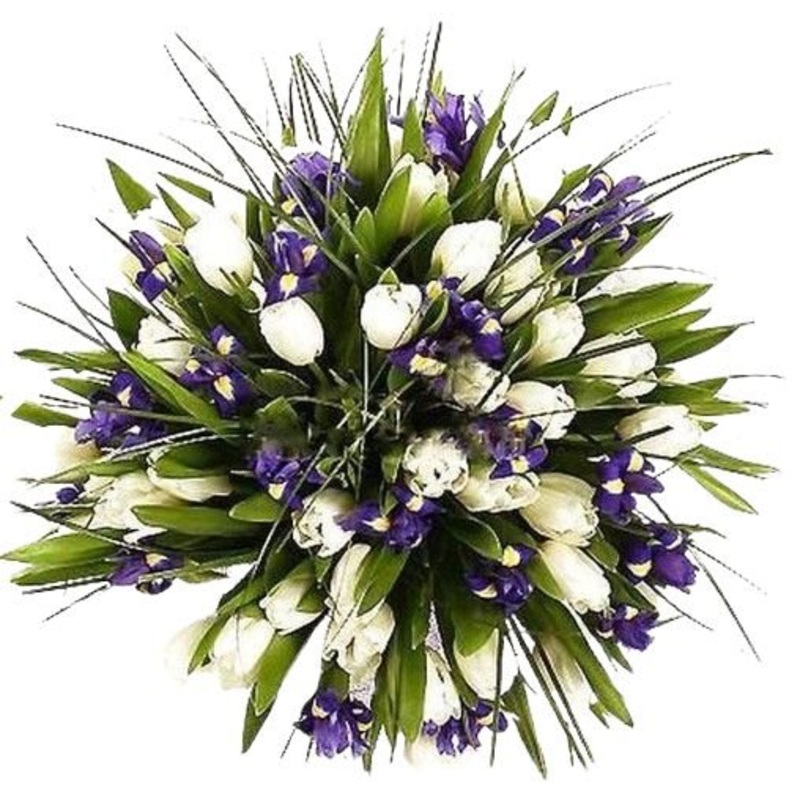 White Tulips and Iris Bouquet-Extra Small (20 stems) & Small (25 stems) & Regular (30 stems) & Medium (35 stems) & Large (40 stems) & Extra Large (50 stems) & Luxury (60 stems) & Glamour (80 stems) & Exclusive Glamour (100 stems) & Premium (120 stems) & P