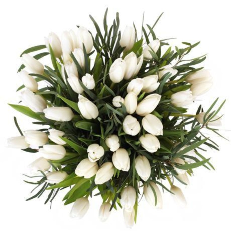 White Tulips with Greenery Bouquet