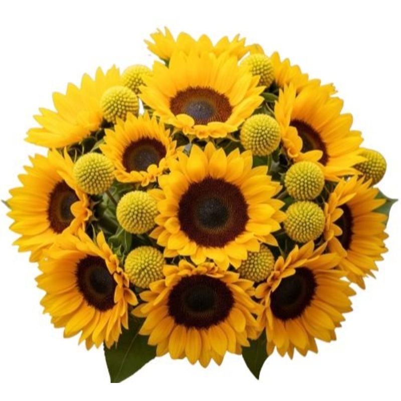 Yellow Beauty Bouquet-Regular (15 stems) & Medium (20 stems) & Large (25 stems) & Extra Large (30 stems) & Luxury (40 stems) & Glamour (50 stems) & Exclusive Glamour (60 stems) & Premium (70 stems) & Premium Extra (80 stems) & Posh (100 stems)