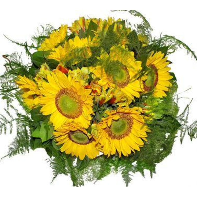 Yellow in Green Bouquet-Small (10 stems) & Regular (20 stems) & Large (25 stems) & Extra Large (30 stems) & Luxury (35 stems) & Glamour (40 stems) & Exclusive Glamour (50 stems) & Premium (60 stems) & Posh (70 stems)