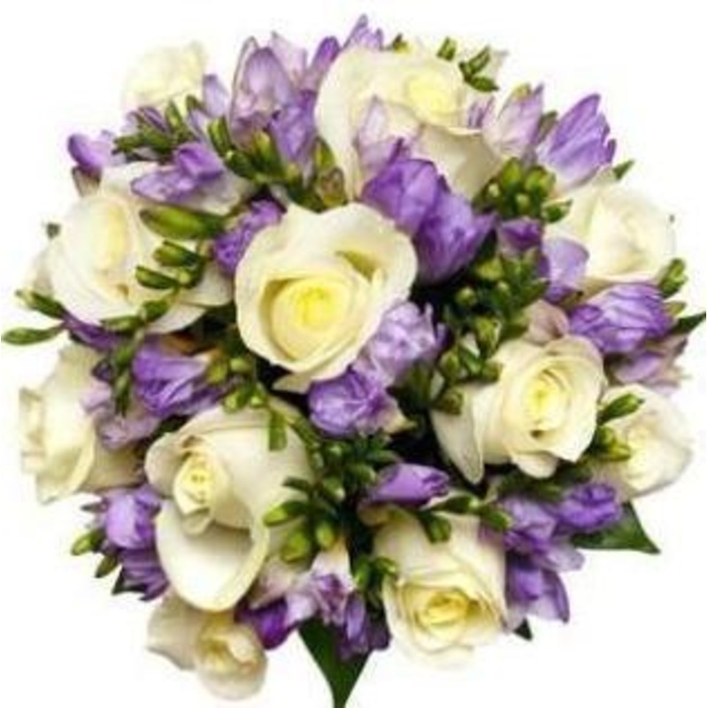 Zaphyr Bouquet-Extra Small (15 stems) & Small (20 stems) & Regular (25 stems) & Large (30 stems) & Large (35 stems) & Extra Large (40 stems) & Luxury (50 stems) & Glamour (65 stems) & Exclusive Glamour (80 stems) & Premium (100 stems) & Premium Extra (120