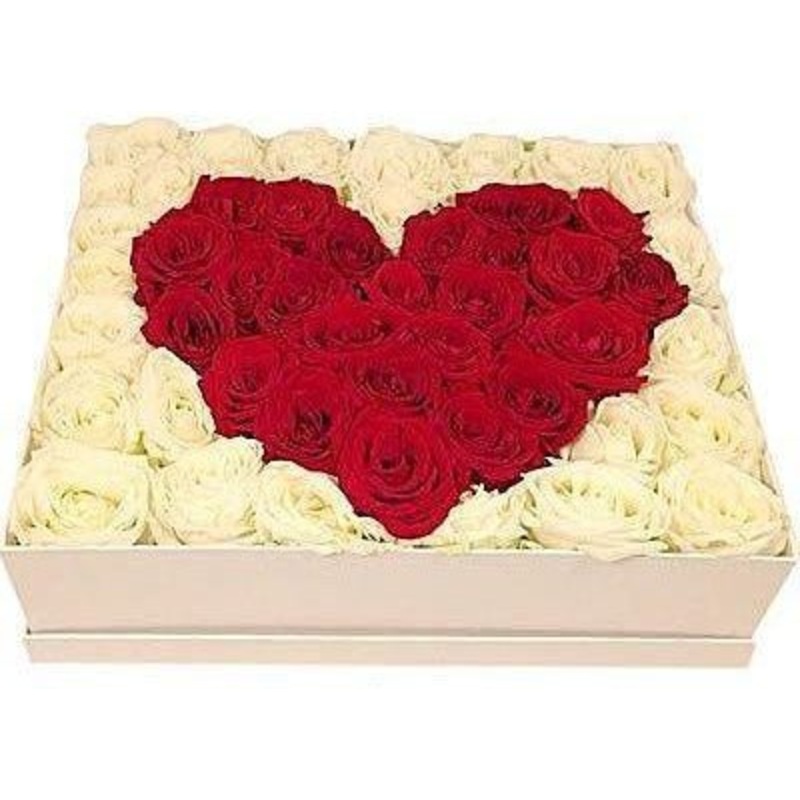 A Love Song Roses Box-Extra Small (30 stems) & Small (40 stems) & Regular (50 stems) & Large (70 stems) & Luxury (90 stems) & Glamour (110 stems) & Exclusive Glamour (140 stems) & Premium (180 stems)-White (Background) – Red (Heart) Roses & Red (Backgroun