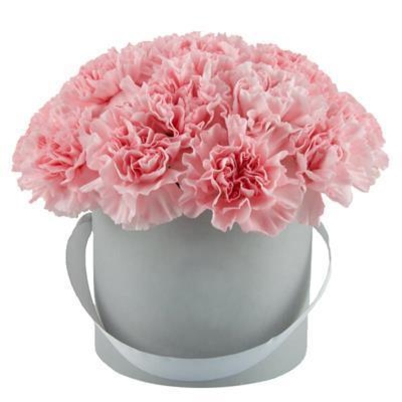 Amazing Carnations Box-Extra Small (15 stems) & Small (20 stems) & Regular (25 Stems) & Large (30 Stems) & Extra Large (40 Stems) & Luxury (50 Stems) & Glamour (80 Stems) & Exclusive Glamour (100 Stems) & Premium (120 stems) & Premium Extra (140 stems)-Pi