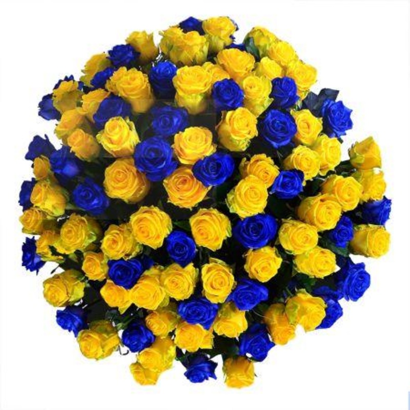 Blue and Yellow Roses Bouquet-20 stems & 30 stems & 40 stems & 50 stems & 60 stems & 70 stems & 80 stems & 90 stems & 100 stems & 120 stems & 140 stems & 160 stems & 180 stems & 200 stems