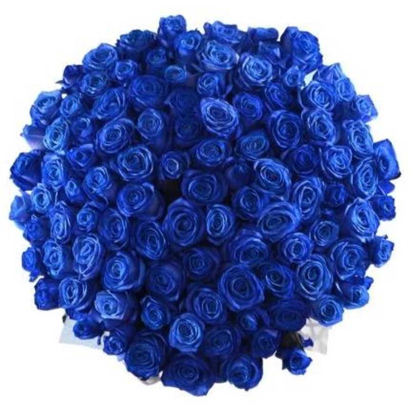Blue Roses Bouquet-10 stems & 15 stems & 20 stems & 30 stems & 36 stems & 40 stems & 50 stems & 55 stems & 60 stems & 70 stems & 75 stems & 80 stems & 90 stems & 95 stems & 100 stems & 120 stems & 140 stems & 160 stems & 180 stems & 200 stems