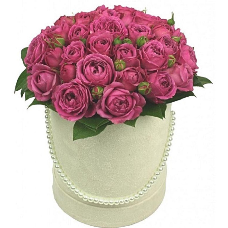 Cerise Spray Roses Box-Extra Small (5 stems) & Small (7 stems) & Regular (10 stems) & Large (15 stems) & Extra Large (20 stems) & Luxury (25 stems) & Glamour (30 stems) & Exclusive Glamour (40 stems) & Premium (50 stems) & Premium Plus (65 stems) & Premiu