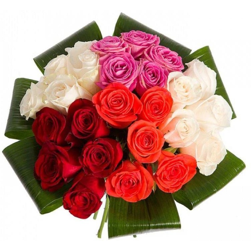Colored Roses with Aspidistra Leaves