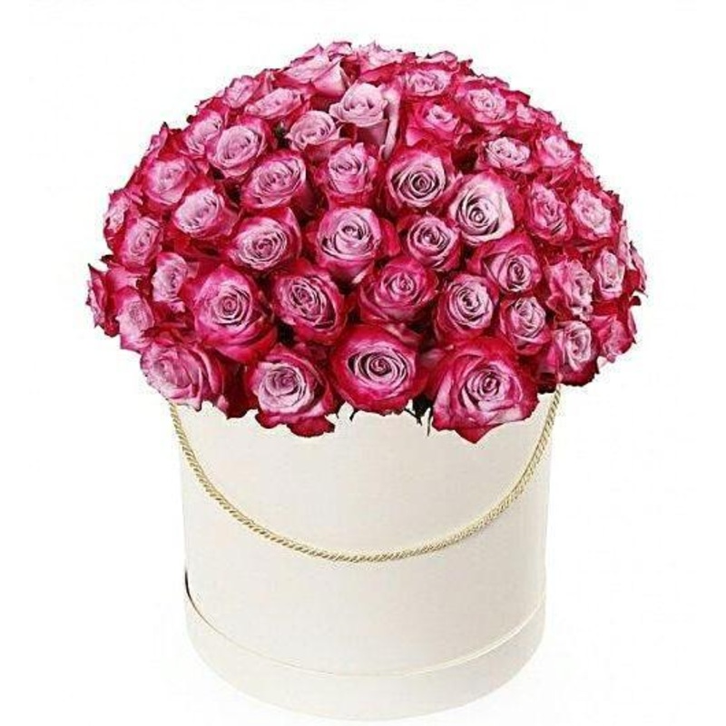 Deep Cherry Roses Box-Extra Small (10 stems) & Small (15 stems) & Regular (20 stems) & Large (30 stems) & Extra Large (40 stems) & Luxury (50 stems) & Glamour (70 stems) & Exclusive Glamour (85 stems) & Premium (100 stems) & Premium Extra (140 stems) & Po