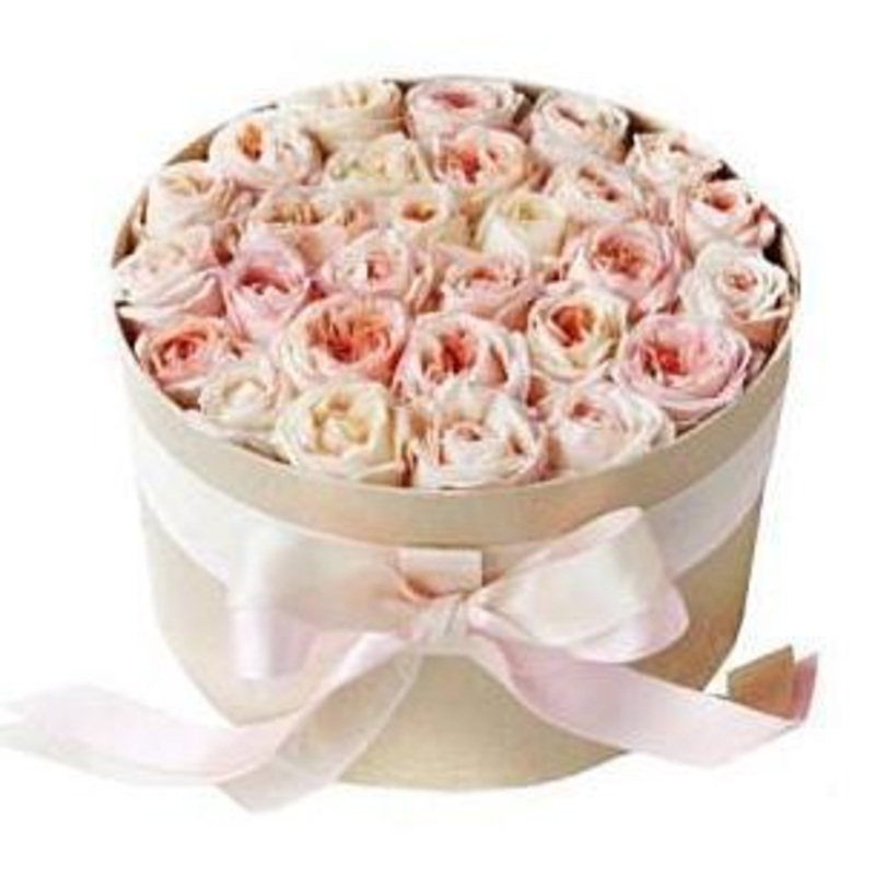 Light Peach Garden Roses Box-Small (12 stems) & Regular (24 stems) & Large (36 stems) & Luxury (48 stems) & Glamour (60 stems) & Exclusive Glamour (72 stems) & Premium (84 stems) & Premium Extra (96 stems) & Posh (108 stems) & Deluxe (120 stems)-Hat Box &