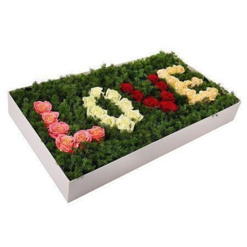Love in Grass Gorgeous Box-Medium (32 – 35 roses) & Regular (42 – 45 stems) & Luxury (52 – 55 stems) & Glamour (62 – 65 stems)-Pink – White – Red – Peach & Pink and White & Red and Peach & Red and White & White and Peach & Red and Pink & Red only & Pink o