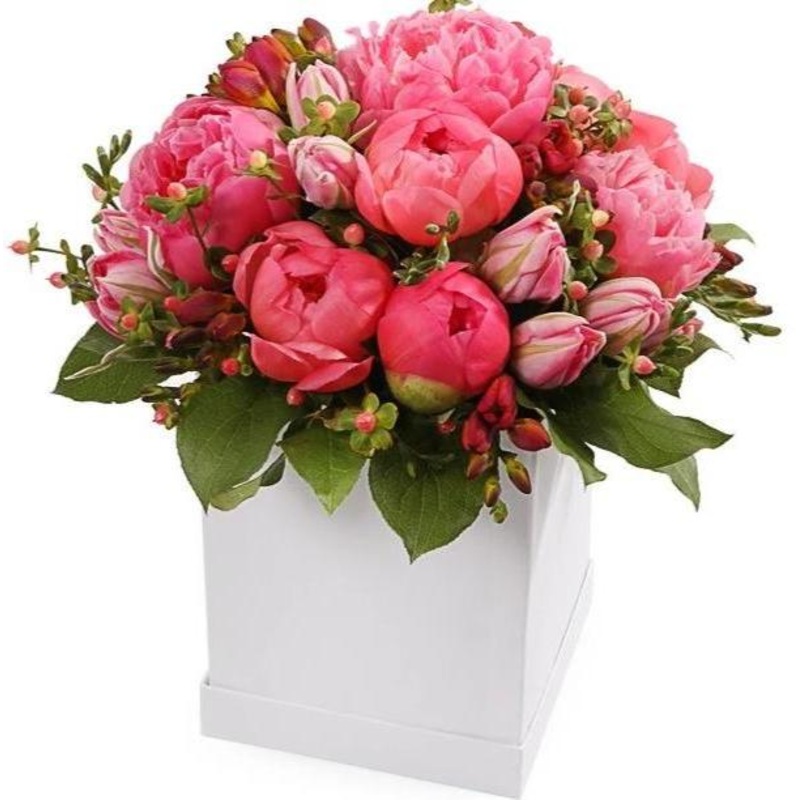 My Favourite Coral Box-Small (25 stems) & Regular (35 stems) & Large (40 stems) & Luxury (55 stems) & Glamour (70 stems) & Exclusive Glamour (85 stems) & Premium (100 stems)-Square Box & Hat Box & Heart Box-WHITE BOX & BLACK BOX & GREEN BOX & GRAY BOX