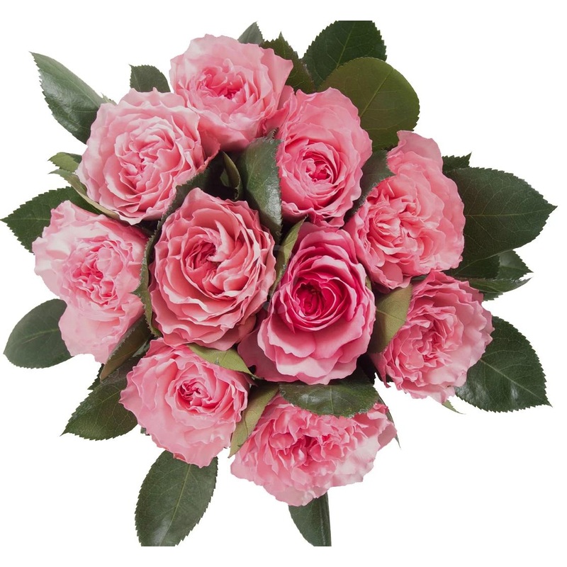 Pink Roses Bouquet with Greenery