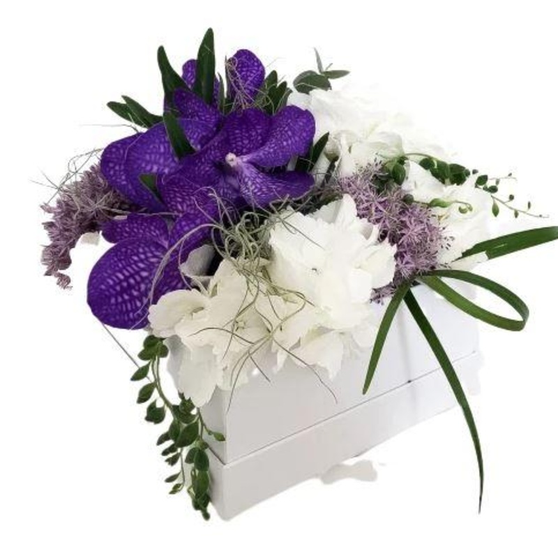 Purple and White Vanda Orchids Signature Box