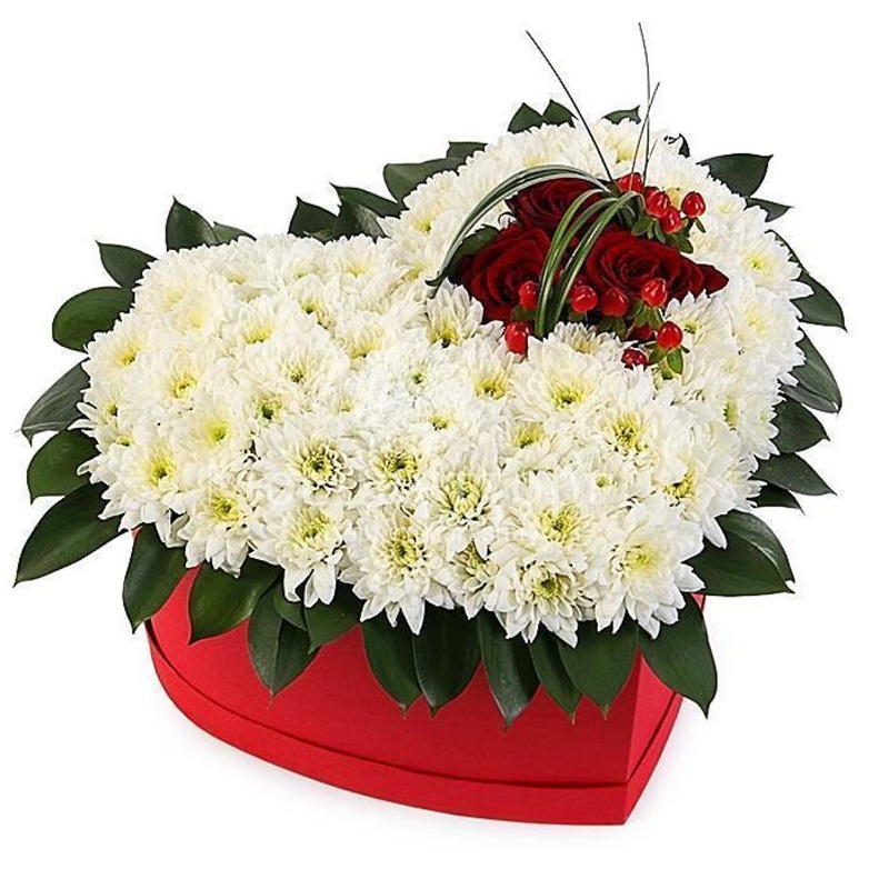 Red on White Heart Box-Extra Small (10 stems) & Small (15 stems) & Regular (20 stems) & Large (25 stems) & Extra Large (30 stems) & Luxury (35 stems) & Glamour (40 stems) & Exclusive Glamour (50 stems) & Premium (65 stems) & Posh (80 stems)-Heart Box & Ha