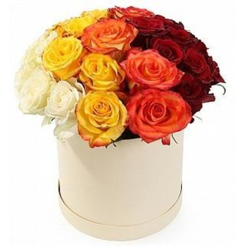 Roses Quartet Box-Regular (20 stems) & Large (30 stems) & Extra Large (40 stems) & Luxury (60 stems) & Glamour (80 stems) & Exclusive Glamour (100 stems) & Premium (120 stems) & Premium Extra (140 stems) & Deluxe (160 stems) & Posh (200 stems)-Hat Box & H