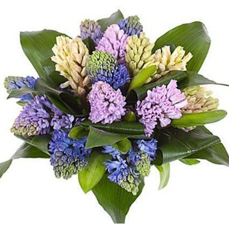 Scented Pearls Bouquet-Extra Small (15 stems) & Small (20 stems) & Medium (25 stems) & Regular (30 stems) & Large (40 stems) & Luxury (50 stems) & Glamour (60 stems) & Exclusive Glamour (70 stems) & Premium (85 stems) & Premium Extra (100 stems)