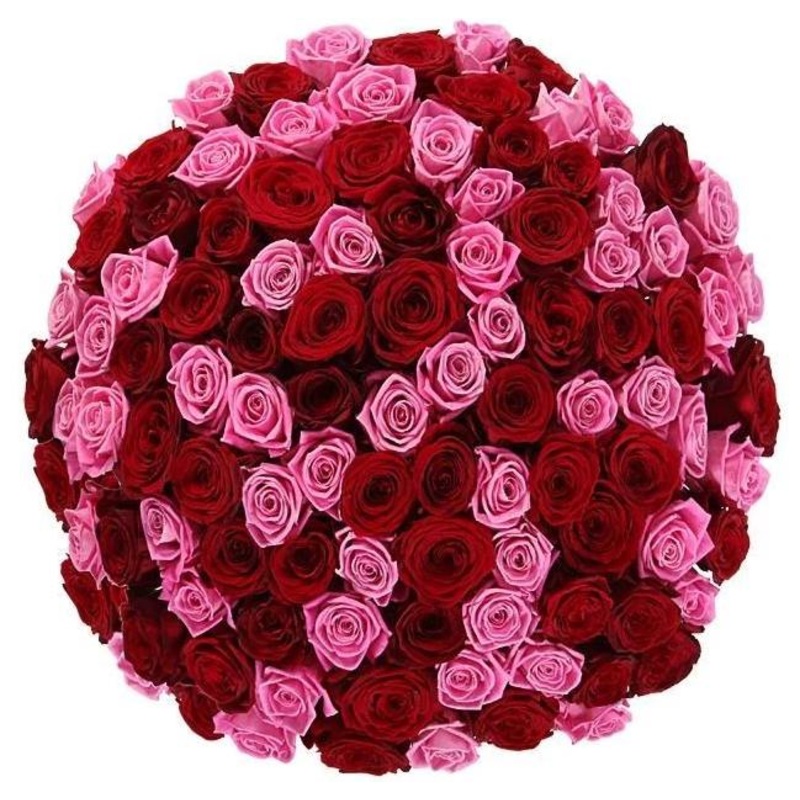 Sweet Melody Bouquet-15 stems & 20 stems & 24 stems & 30 stems & 36 stems & 40 stems & 46 stems & 50 stems & 55 stems & 60 stems & 65 stems & 70 stems & 75 stems & 80 stems & 85 stems & 90 stems & 95 stems & 100 stems & 120 stems & 150 stems & 180 stems &