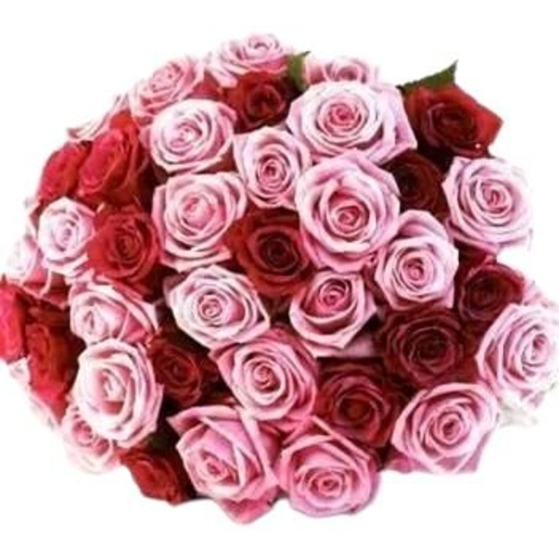 Two Shades Of Love: Pink & Red Roses Bouquet