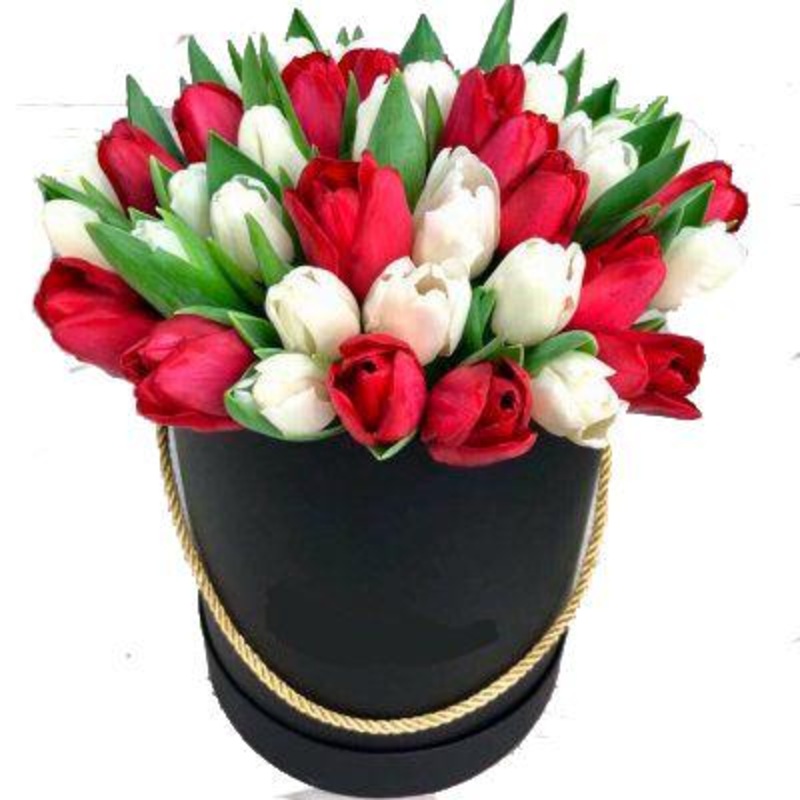 White and Red Tulips Box-Small (20 stems) & Regular (30 stems) & Large (40 stems) & Luxury (50 stems) & Glamour (75 stems) & Exclusive Glamour (100 stems) & Premium (125 stems) & Premium Extra (150 stems) & Posh (175 stems) & Deluxe (200 stems)-Hat Box &