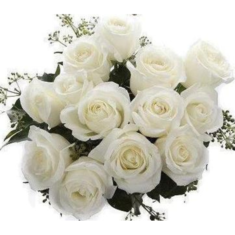 White Roses with English Ivy Bouquet