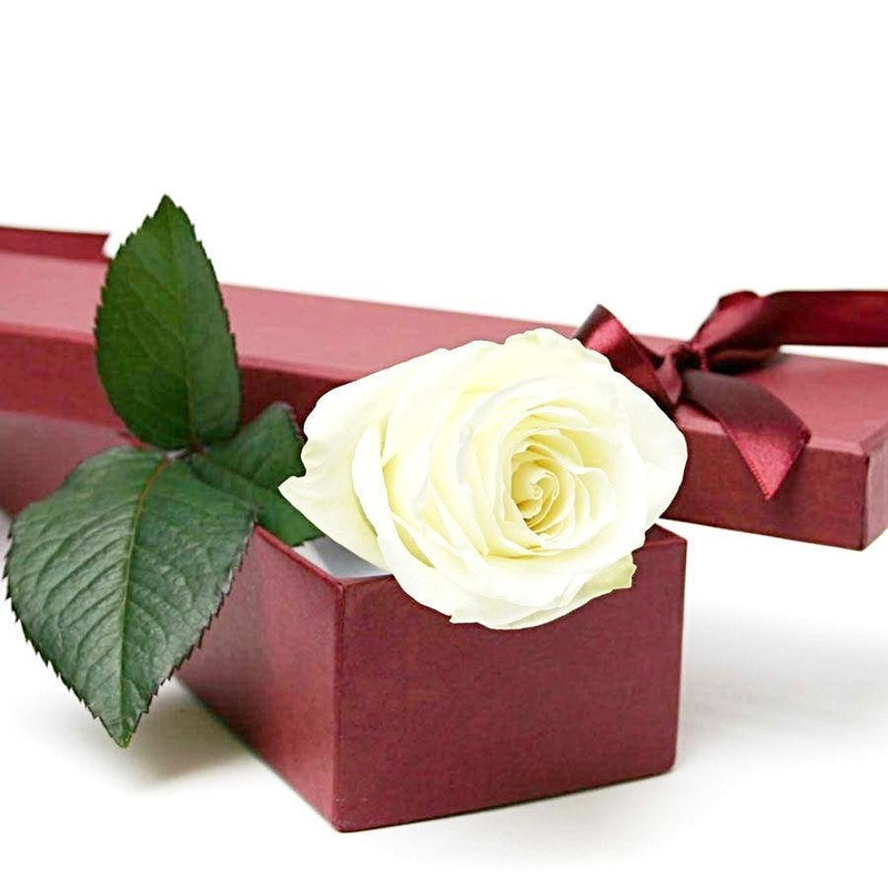 White Single Rose Luxury Box-RED & BLACK & GRAY & CREAM