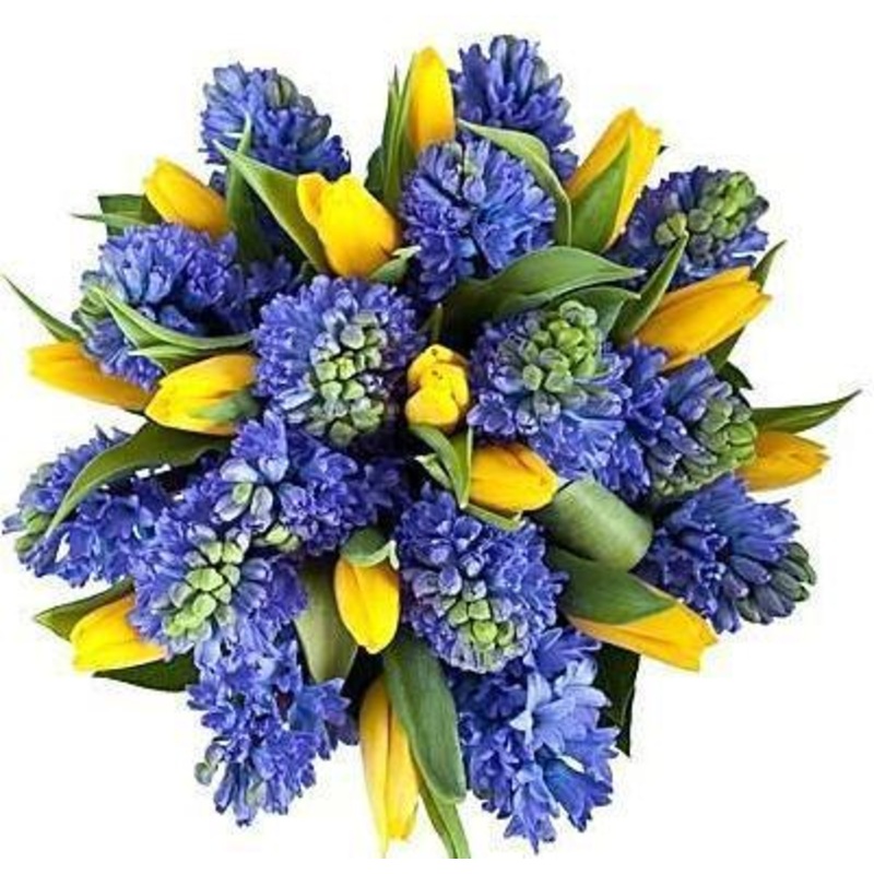 Yellow & Blue Bouquet-Extra Small (15 stems) & Small (20 stems) & Medium (25 stems) & Regular (30 stems) & Large (40 stems) & Extra Large (50 stems) & Luxury (60 stems) & Glamour (80 stems) & Exclusive Glamour (100 stems) & Premium (120 stems)