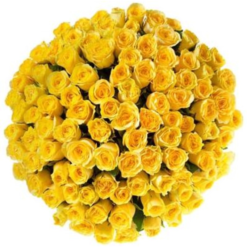 Yellow Roses Bouquet-10 stems & 12 stems & 15 stems & 20 stems & 24 stems & 30 stems & 36 stems & 40 stems & 48 stems & 50 stems & 55 stems & 60 stems & 65 stems & 70 stems & 75 stems & 80 stems & 85 stems & 90 stems & 95 stems & 100 stems & 120 stems & 1