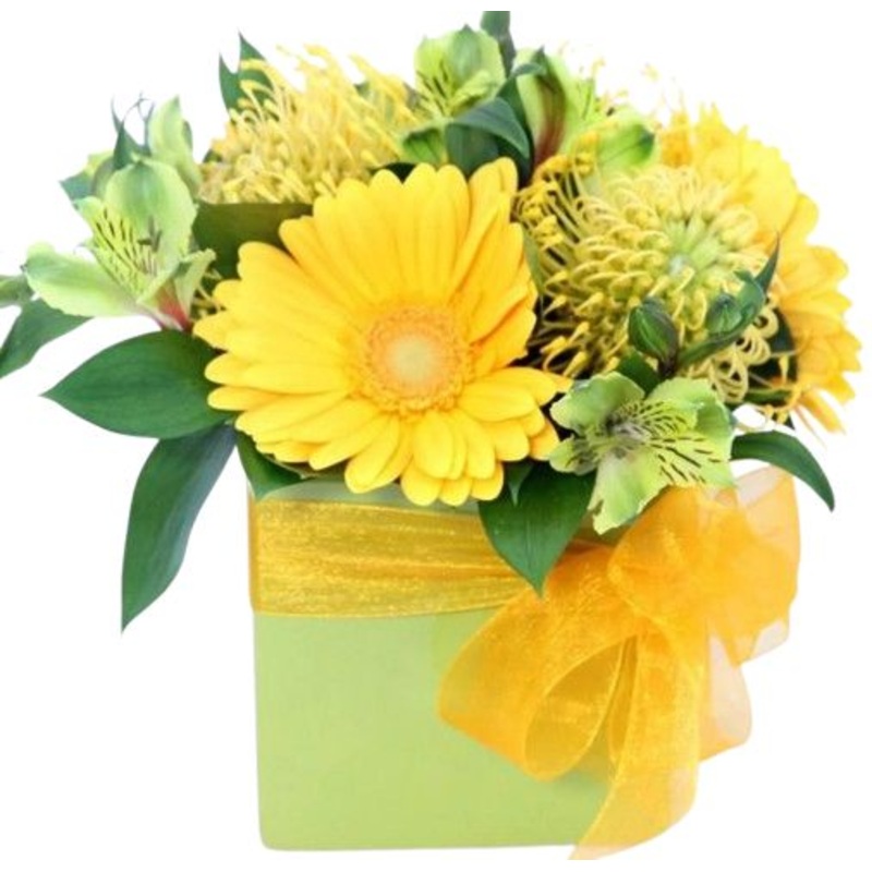 Citrus Cute Box-Small (10 stems) & Regular (15 stems) & Large (20 stems) & Luxury (30 stems) & Glamour (40 stems) & Exclusive Glamour (50 stems) & Premium (65 stems) & Posh (80 stems)-Square Box & Heart Box & Hat Box-WHITE BOX & GREEN BOX & BLACK BOX & GR